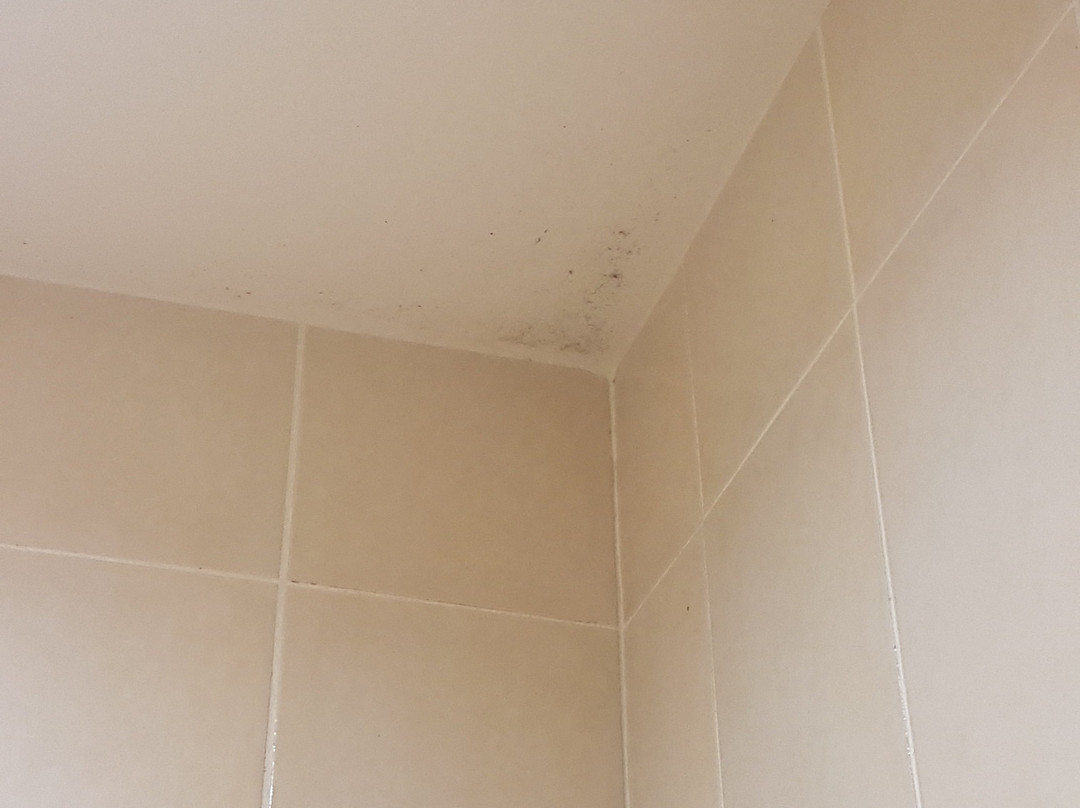 Atlantis Hotel Mimizan主图