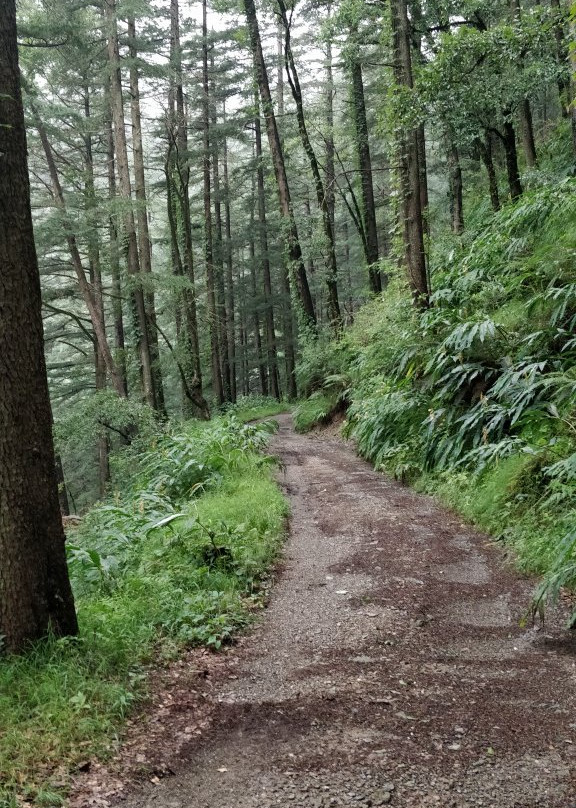 Shimla Water Catchment Wildlife Sanctuary景点图片