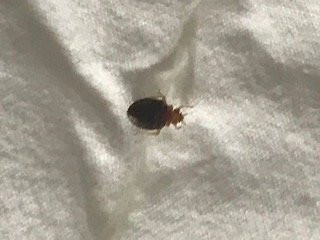 Quality Inn Glenpool - Tulsa主图