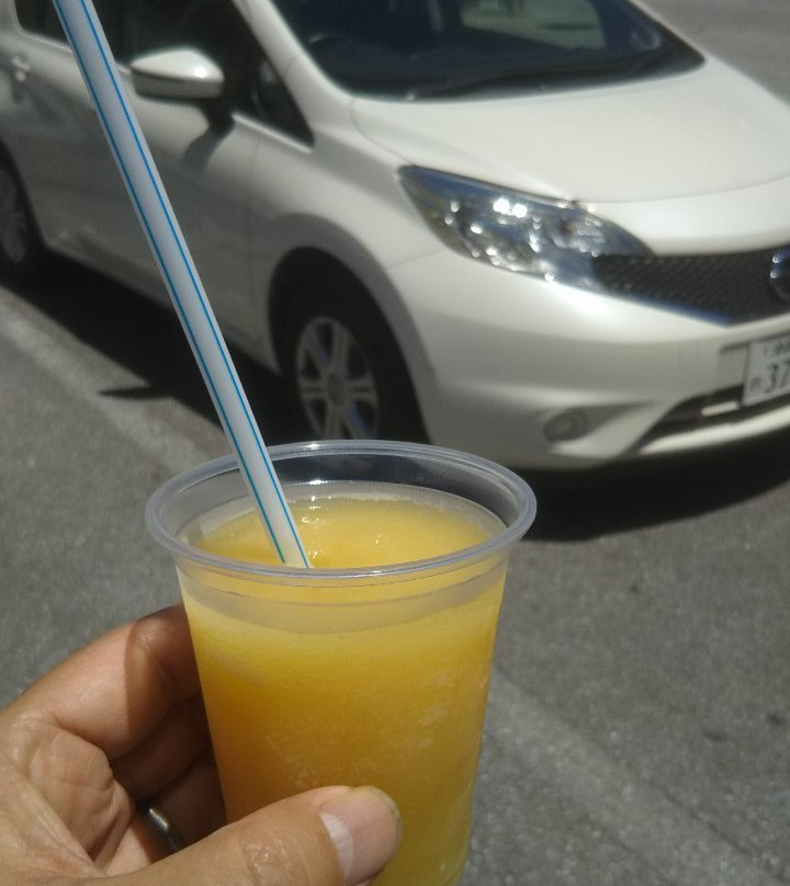 Sunrise Higashi-东村必去景点