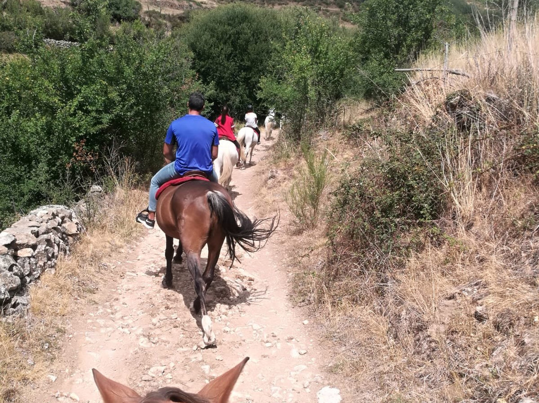 Gredos a Caballo-Hoyos del Espino必去景点