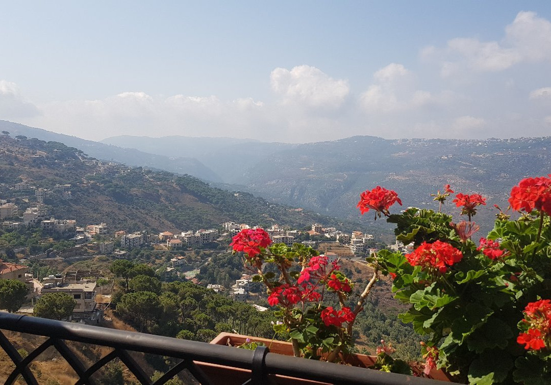 Cherry Blossom Boutique Hotel主图