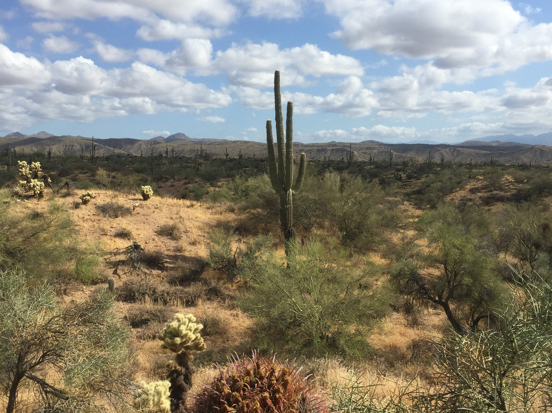 Wild West Jeep Tours-斯科茨代尔必去景点