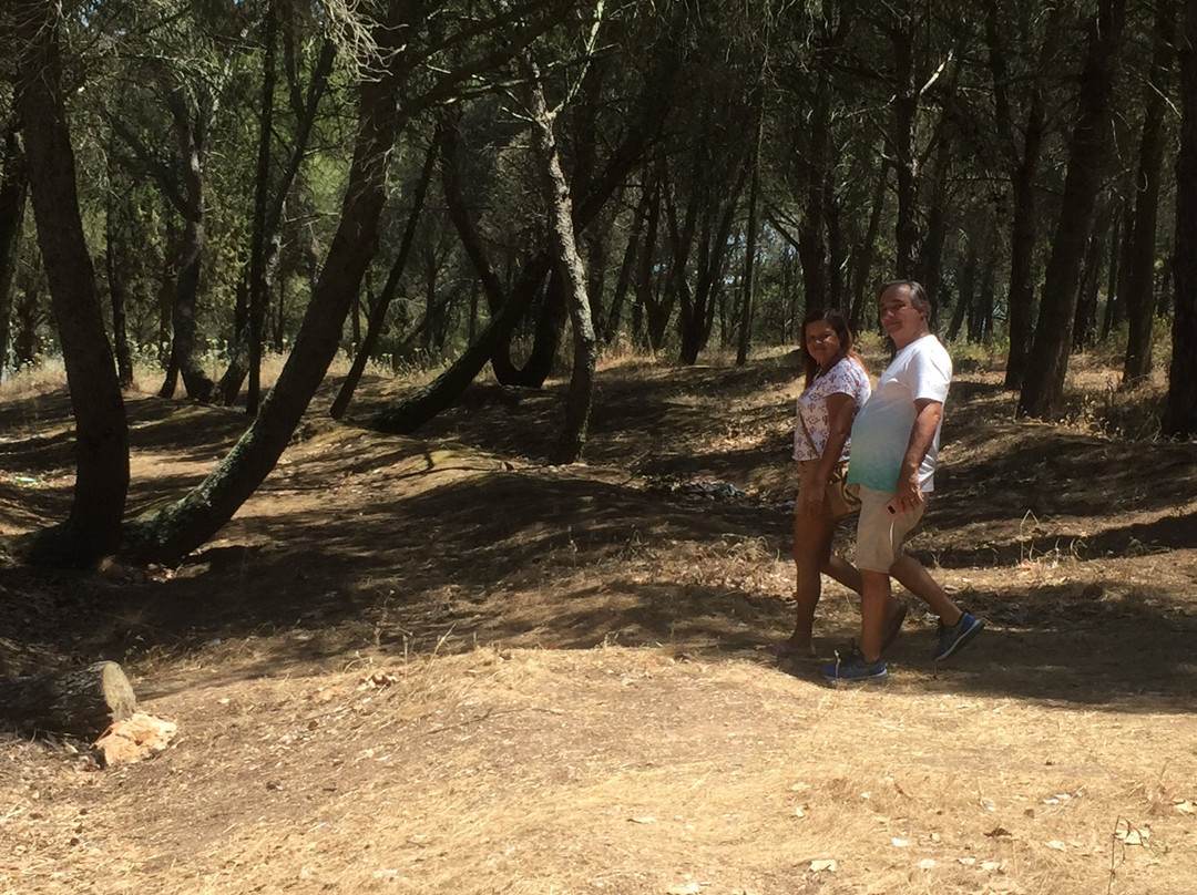 Barragem de Odivelas-Ferreira do Alentejo必去景点