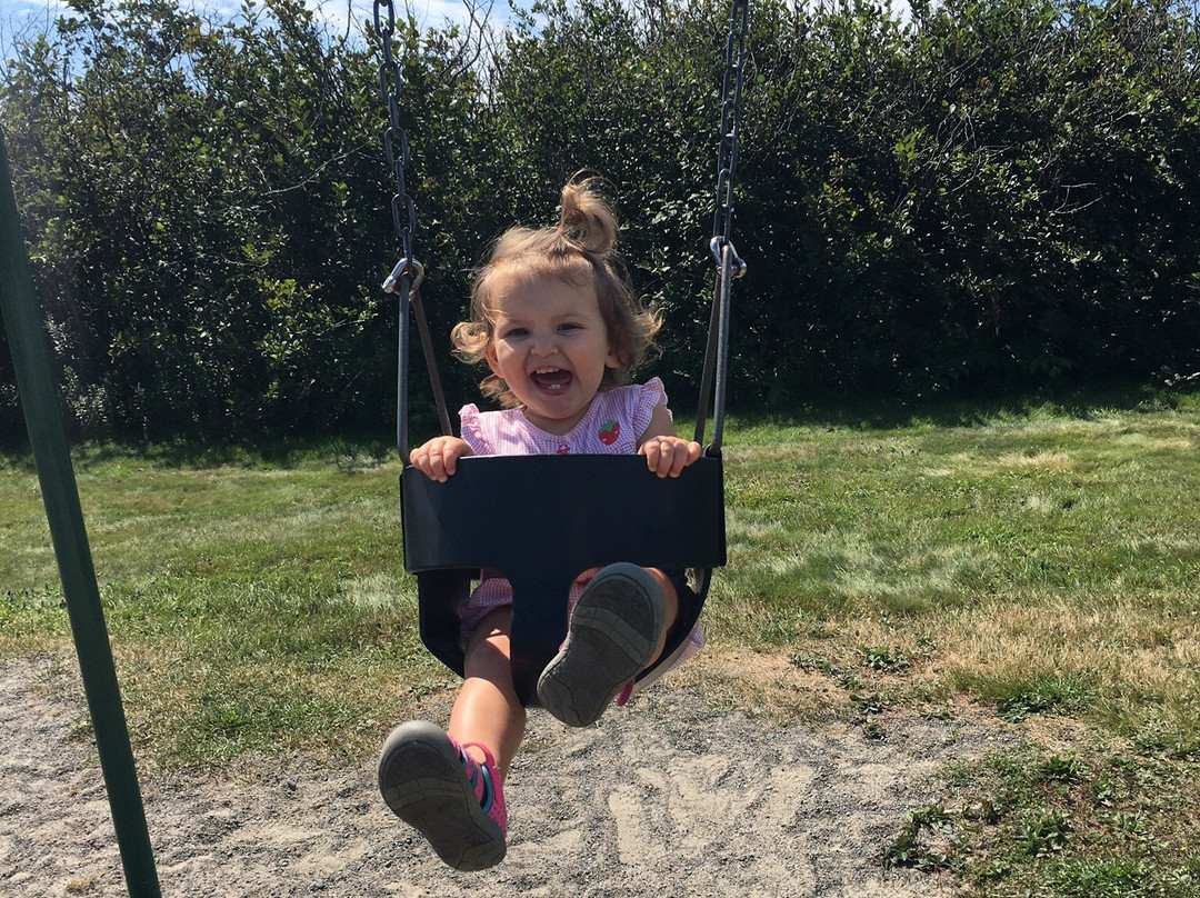 Anchorage Provincial Park-Grand Manan必去景点