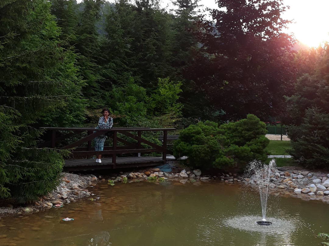 Hotel Klimek Spa主图