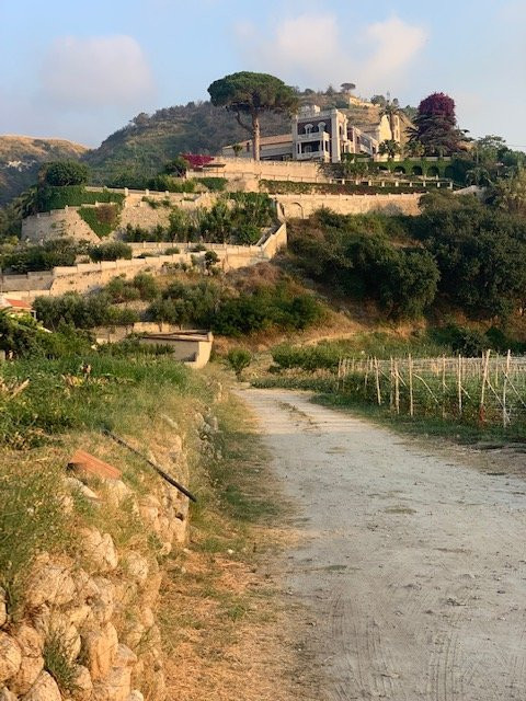 Villa Paola主图