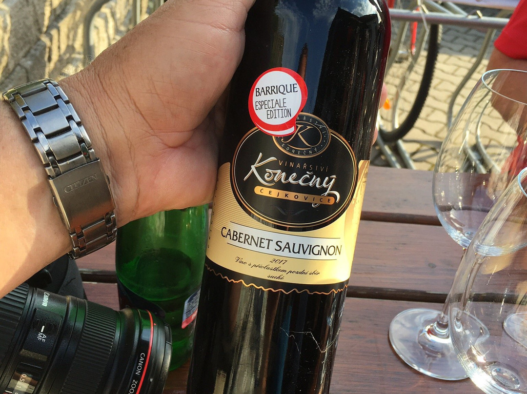 Restaurace a Penzion U Novaku主图