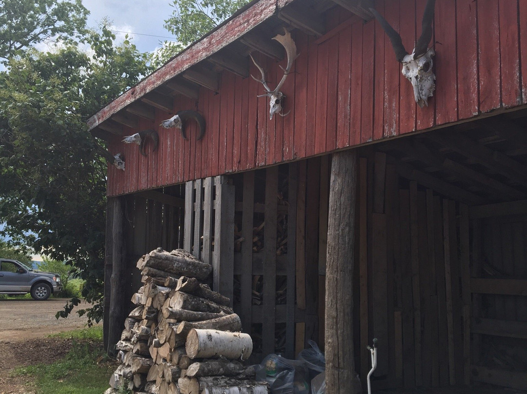 Martock Glen Farm and Agrizoo-Windsor必去景点