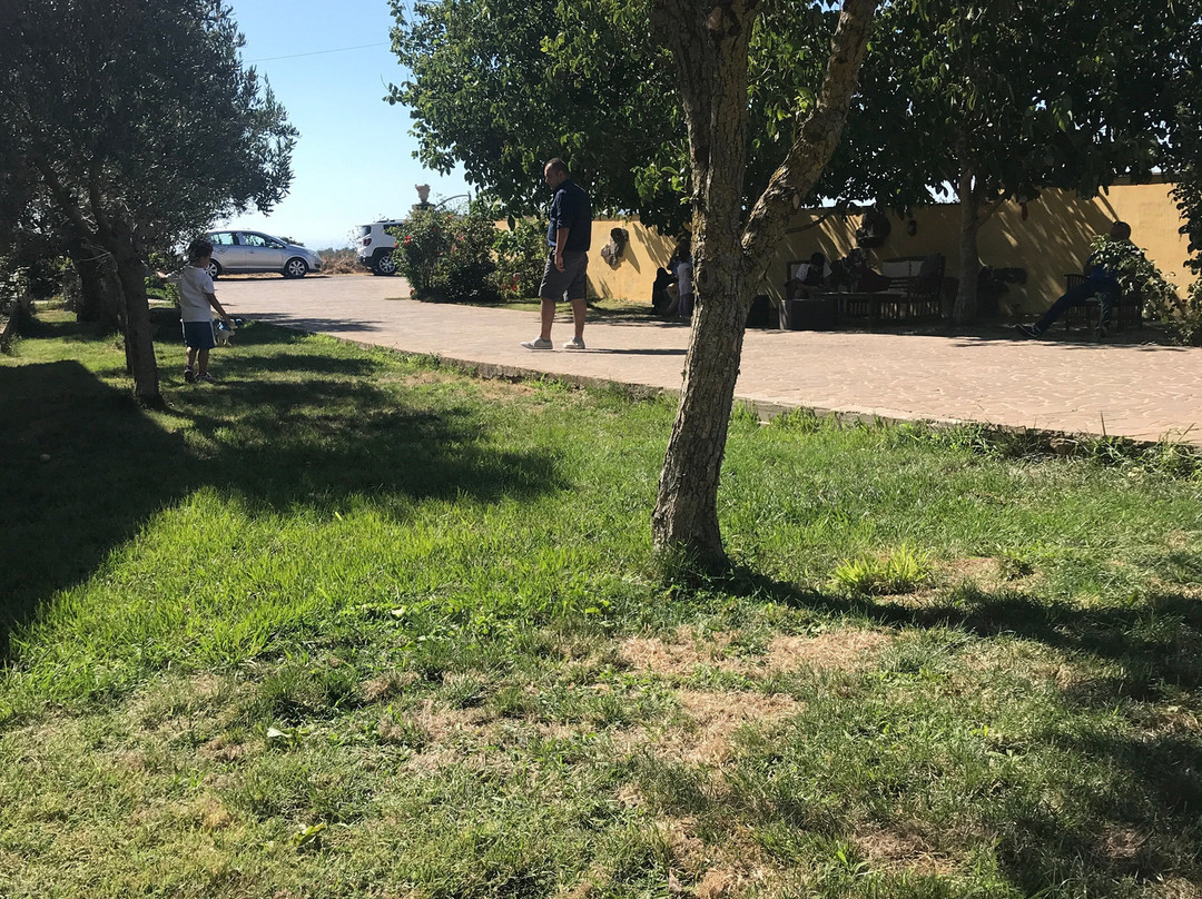 Agroturismo Il Cardoncello主图