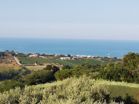 B&B L'Infinito主图