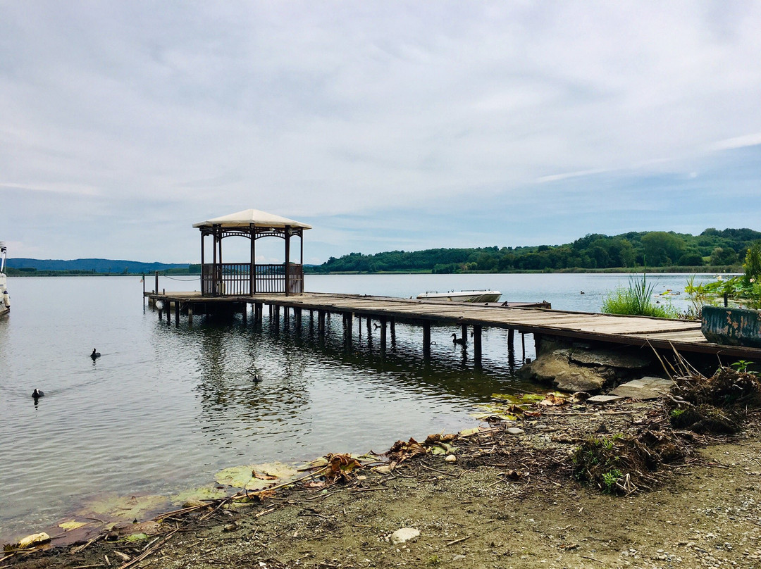 Parco Naturale del Lago di Candia景点图片