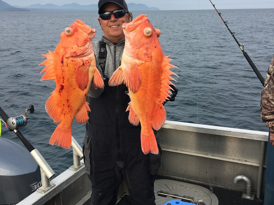 Alaska's Kodiak Island Resort主图