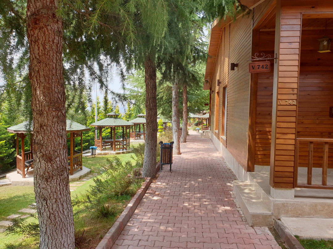 Fimar Life Thermal Resort Hotel主图
