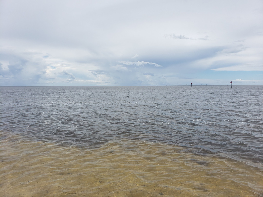 Shell Point Beach-Crawfordville必去景点