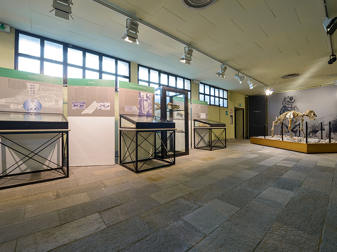 Museo di Archeologia e Paleontologia "Carlo Conti"