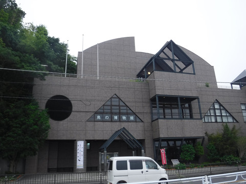 Abiko city Museum of Birds-我孙子市必去景点