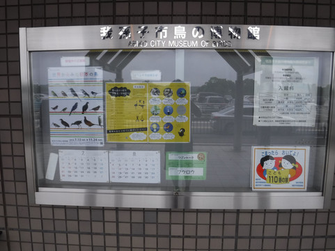 Abiko city Museum of Birds-我孙子市必去景点