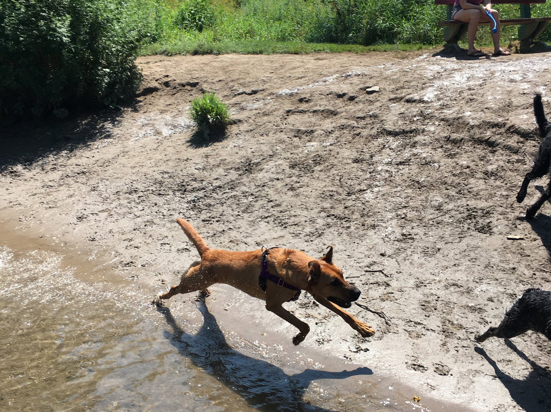 Jamesville Beach-Jamesville必去景点