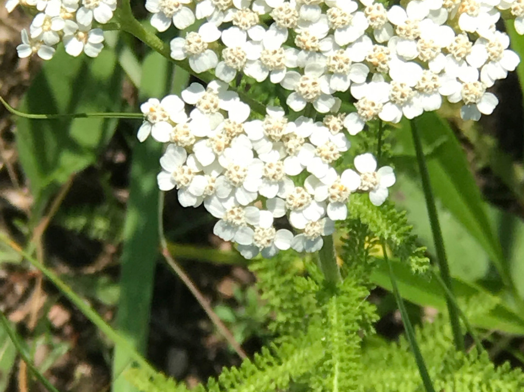 Illinois Beach State Park-Zion必去景点