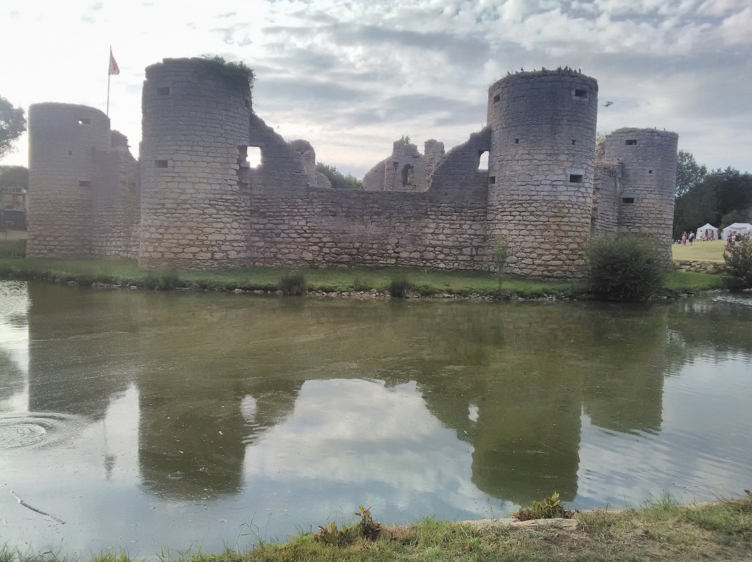 Le Chateau de Commequiers景点图片