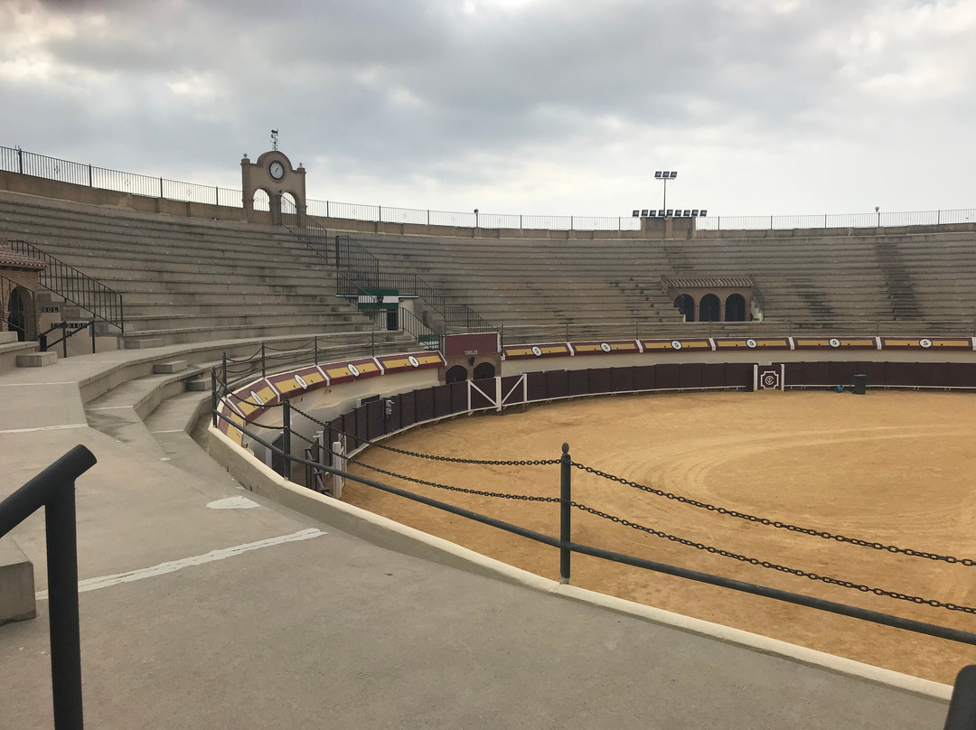 Plaza De Toros De Vera景点图片