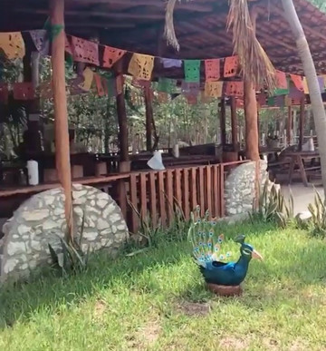 Top Travel Connection-坎昆必去景点