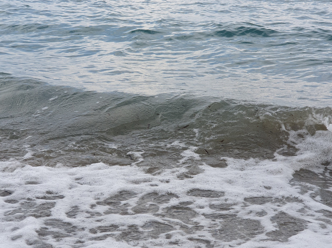 Aqua Mare Resort主图