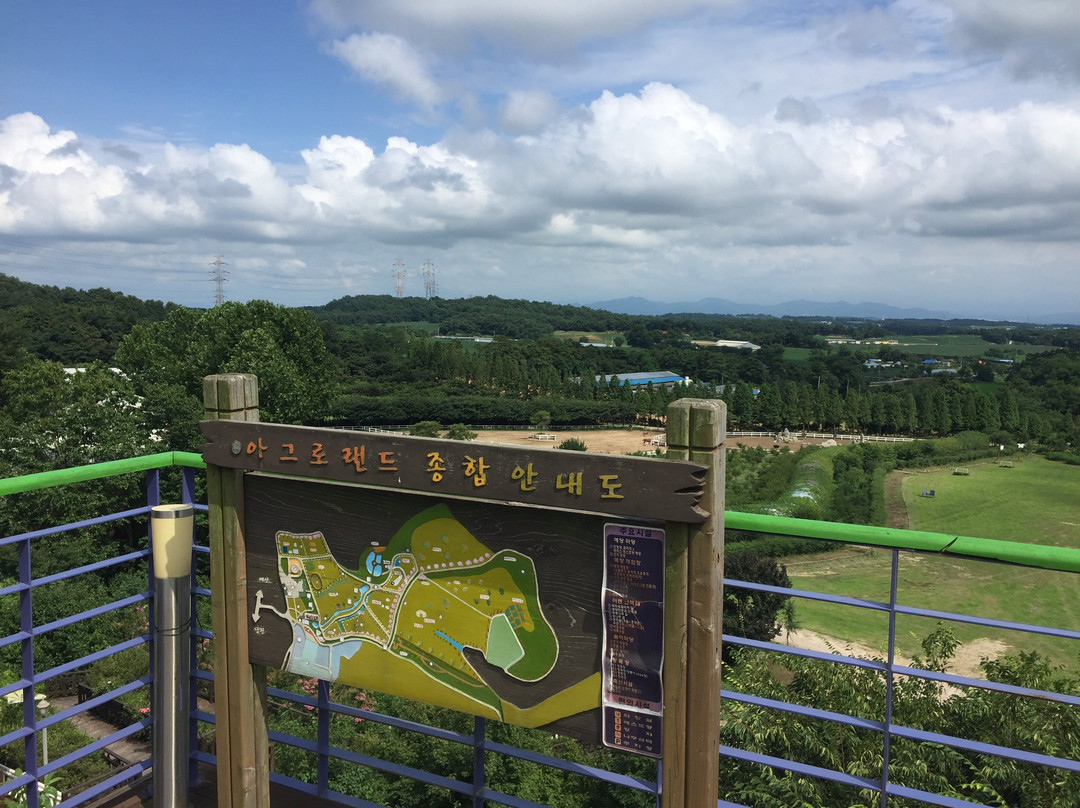 Agroland Taesin Farm-唐津郡必去景点