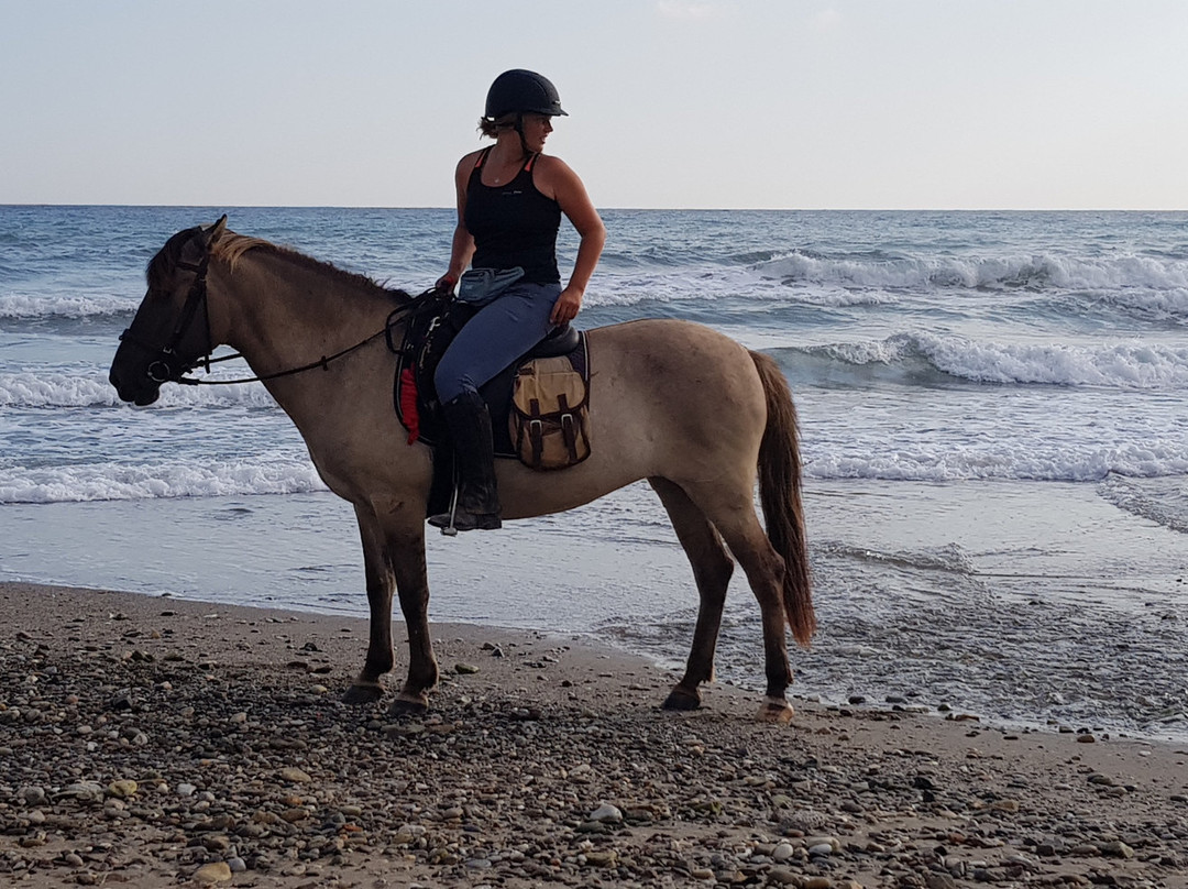 Zoraida's Horse Riding景点图片