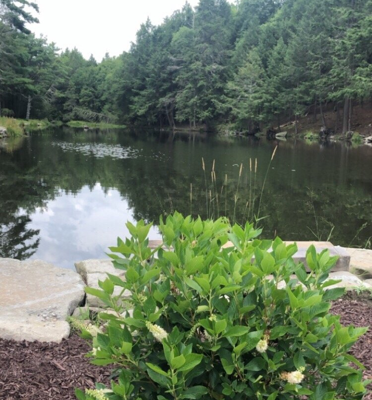 Pine Brook Manor主图