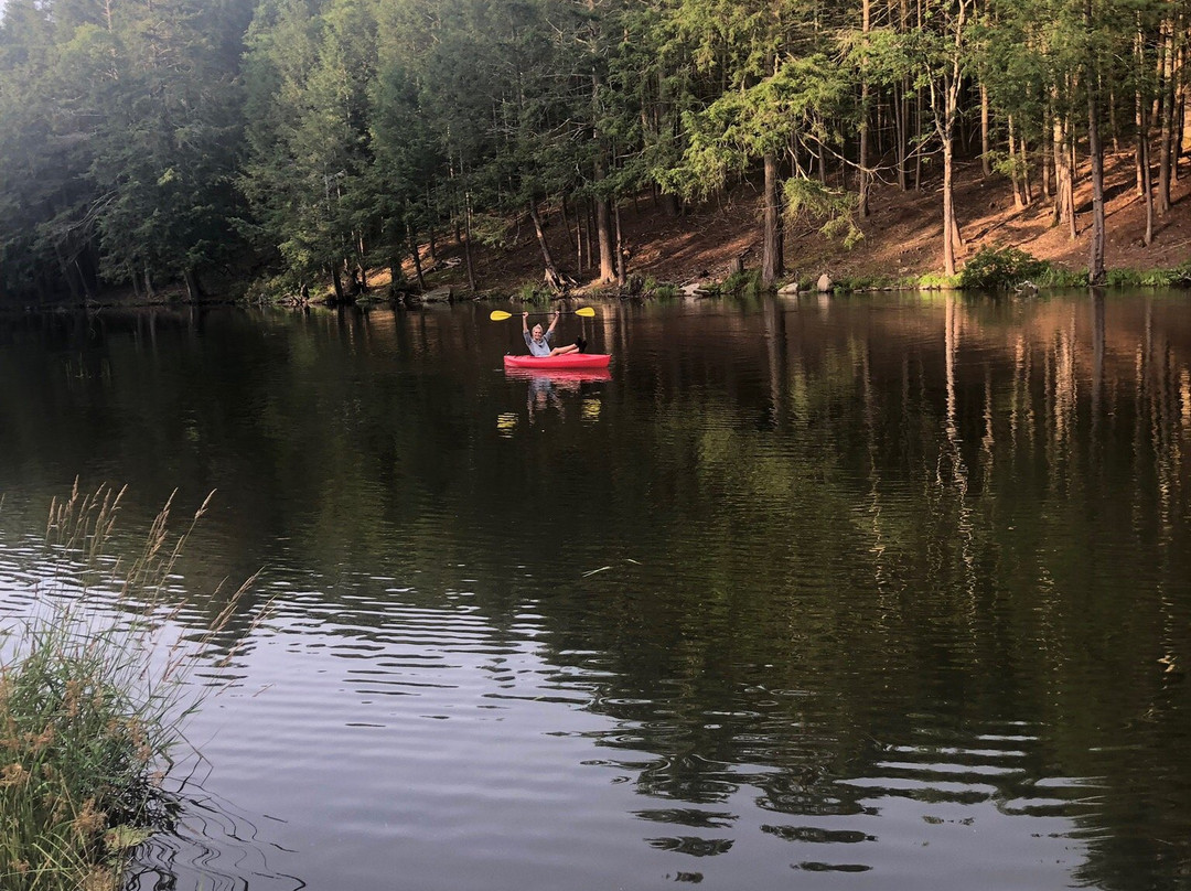 Pine Brook Manor主图