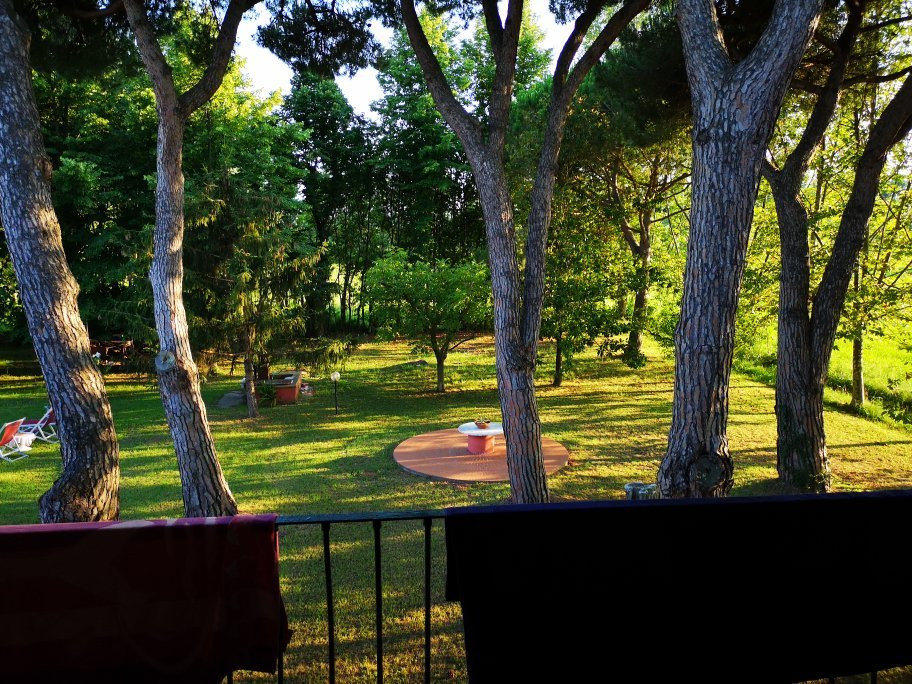 Fattoria Battilana主图