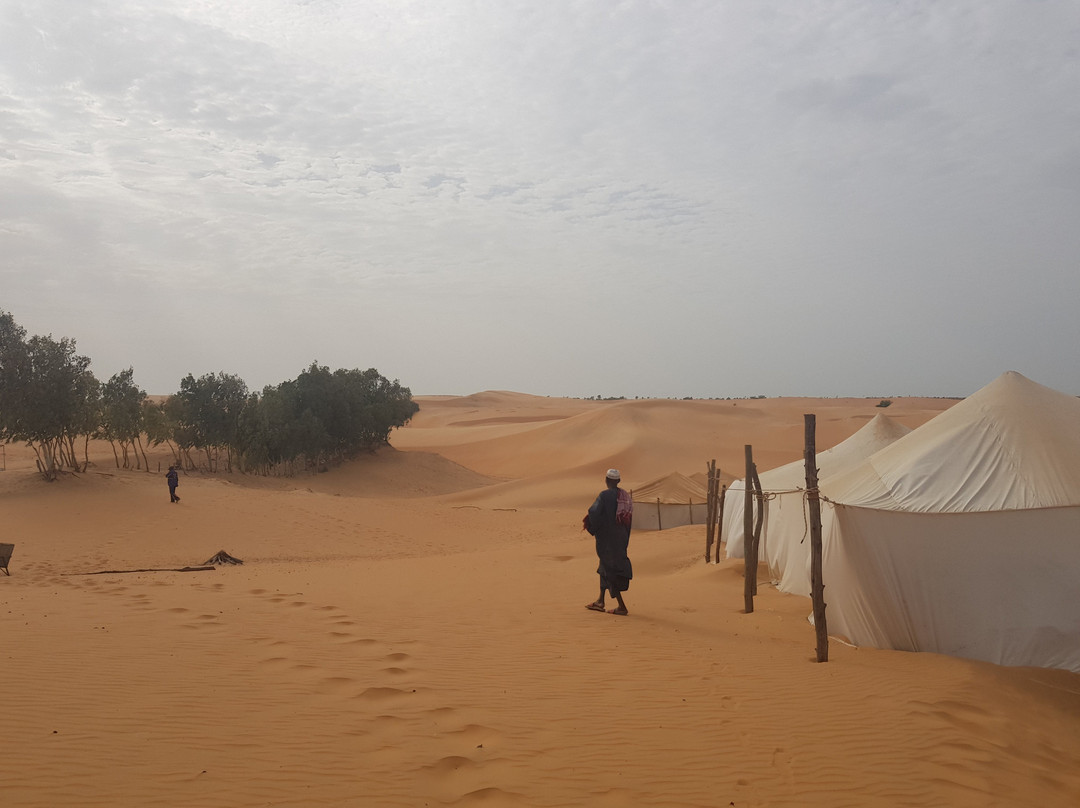 Senegal Decouverte景点图片
