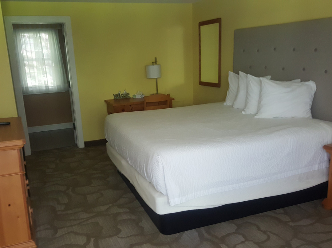 Lodge at Turbat's Creek主图