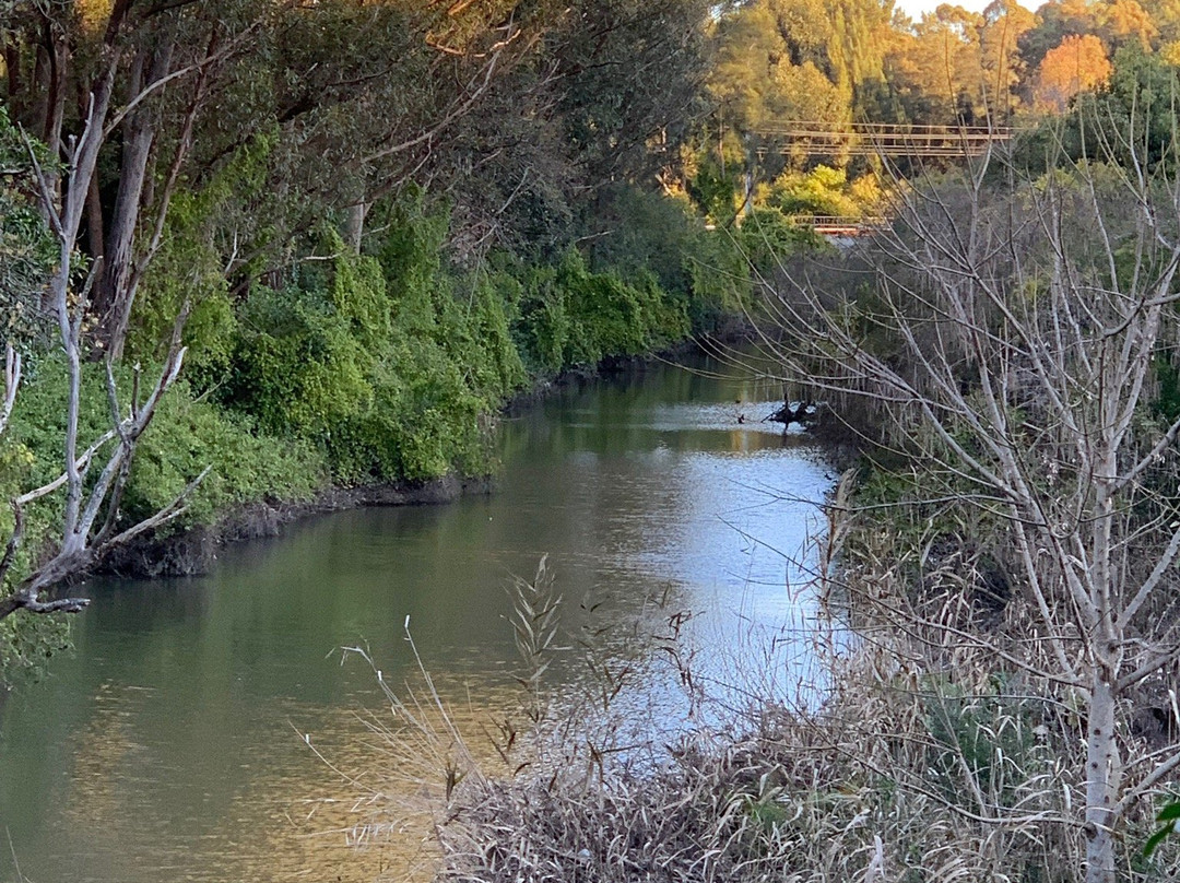 Wolli Creek Walking Track景点图片