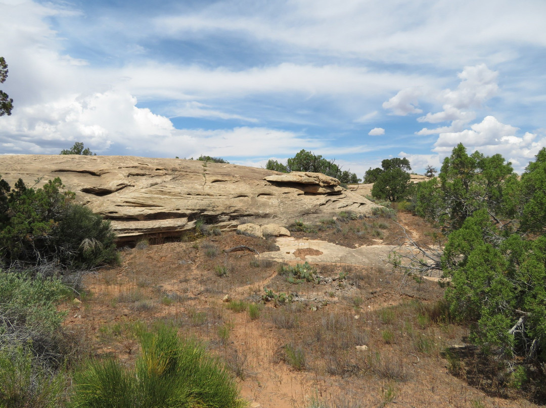 Roadside Ruin Trail景点图片