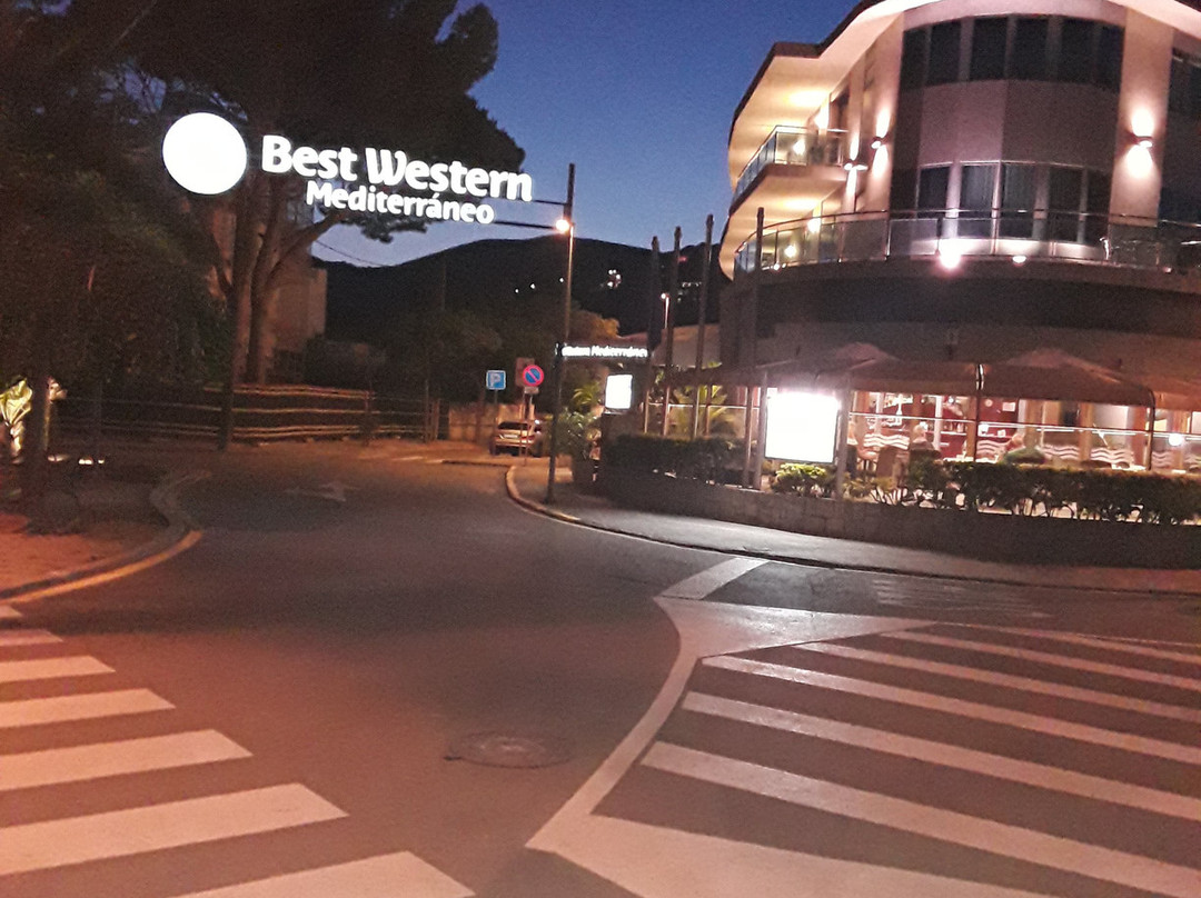 最佳西方地中海酒店主图