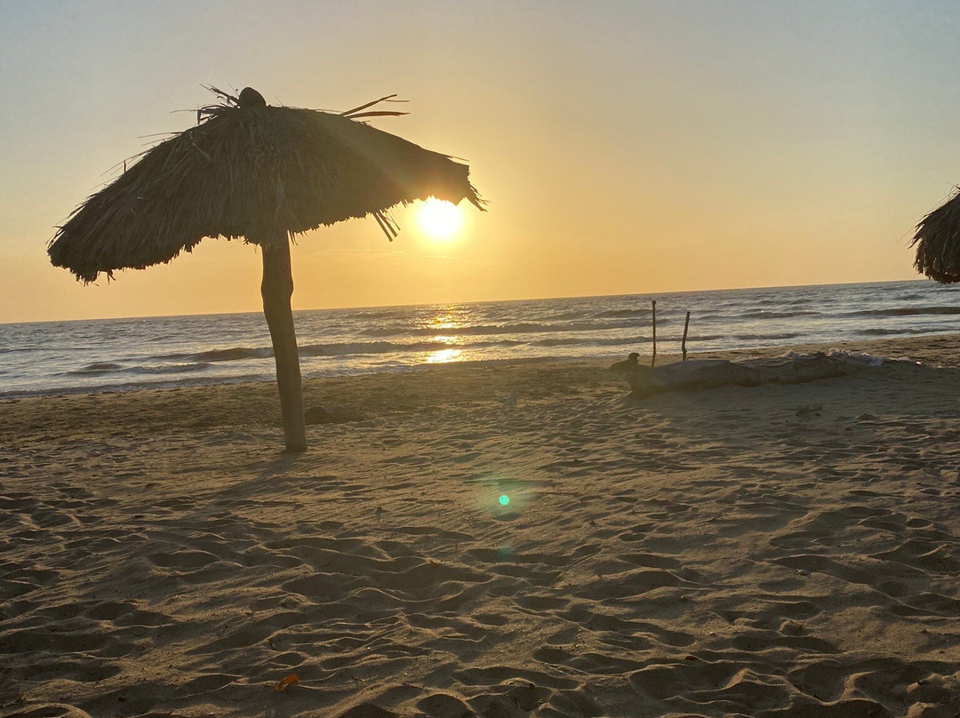 Maleiwa Beach Hostel