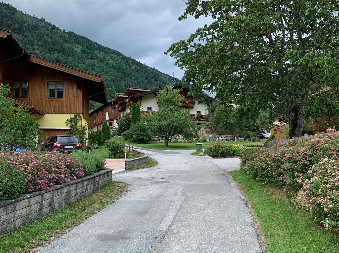 Feriendorf Ponyhof主图