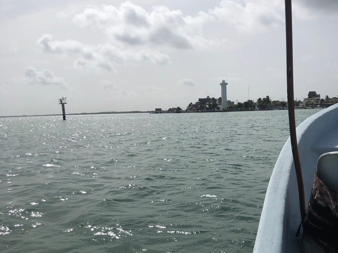 Boat Trip Rio Lagartos景点图片