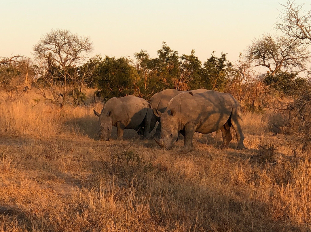 Crowned Eagle Tours and Safaris-雾观必去景点