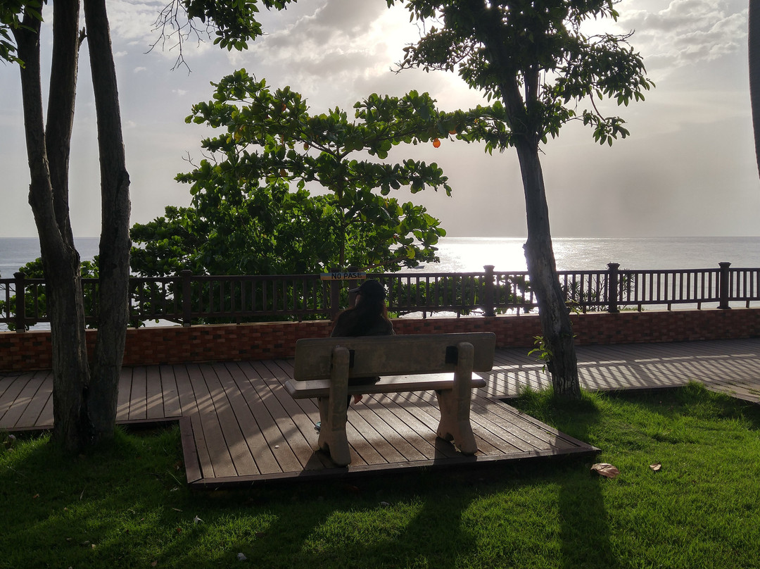 Caribbean Trading Rincon-吕康必去景点