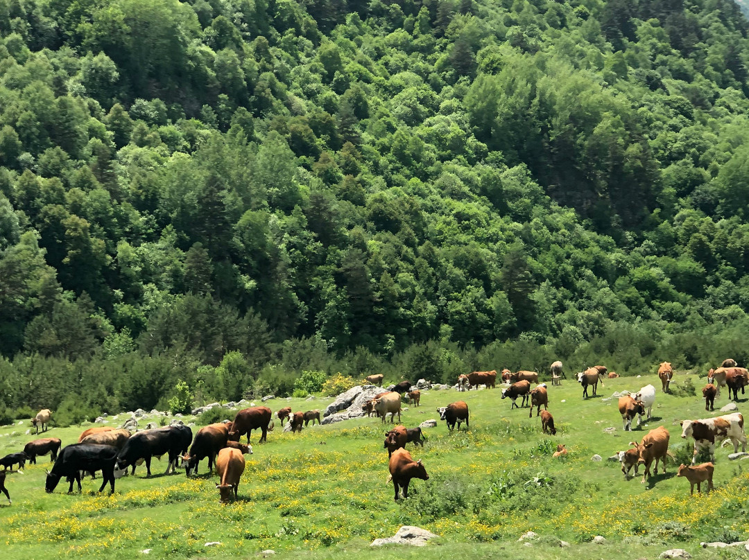 Tana Park Hotel主图