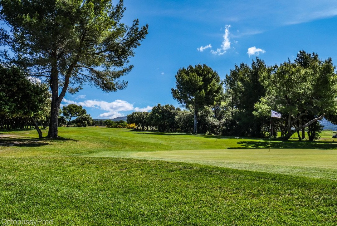Golf de Saumane景点图片