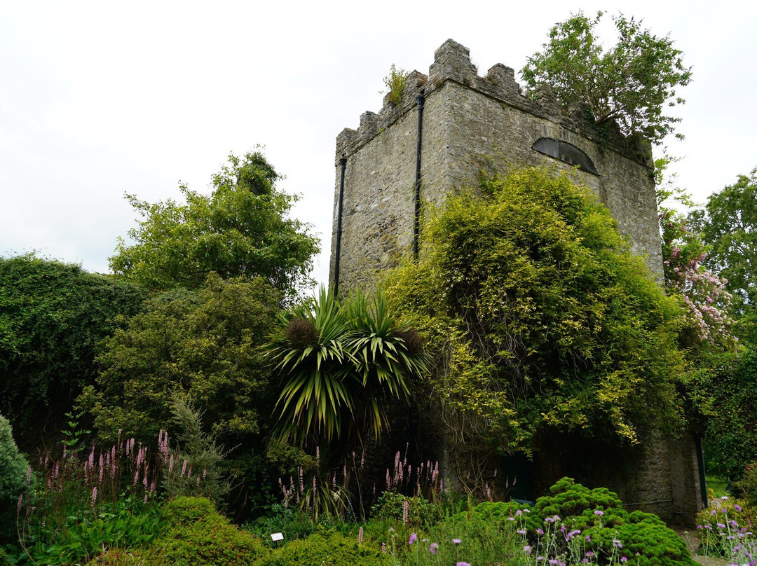 Malahide Castle & Gardens景点图片