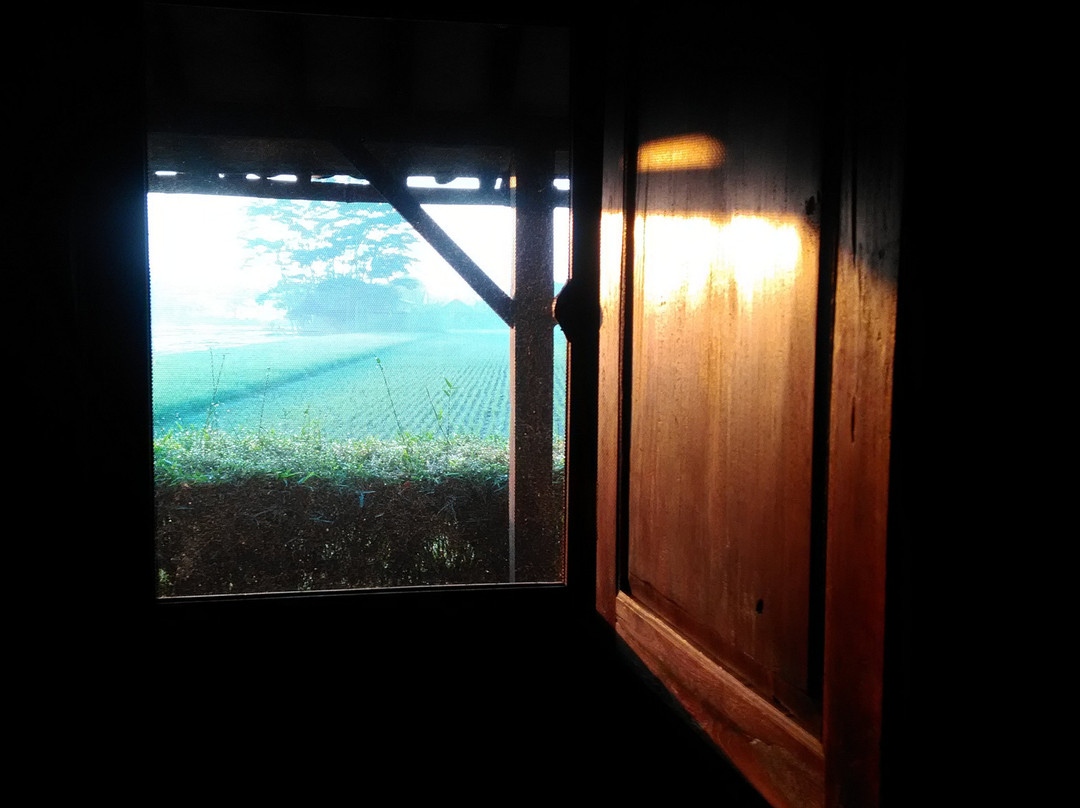 Yabbiekayu Eco-Bungalows主图