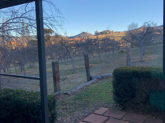 Borrodell Vineyard主图