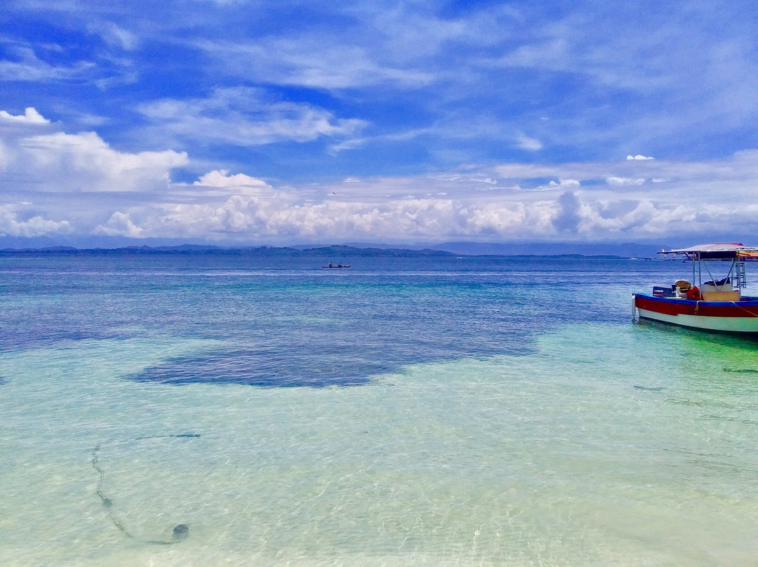 Bluff Beach旅游攻略图片