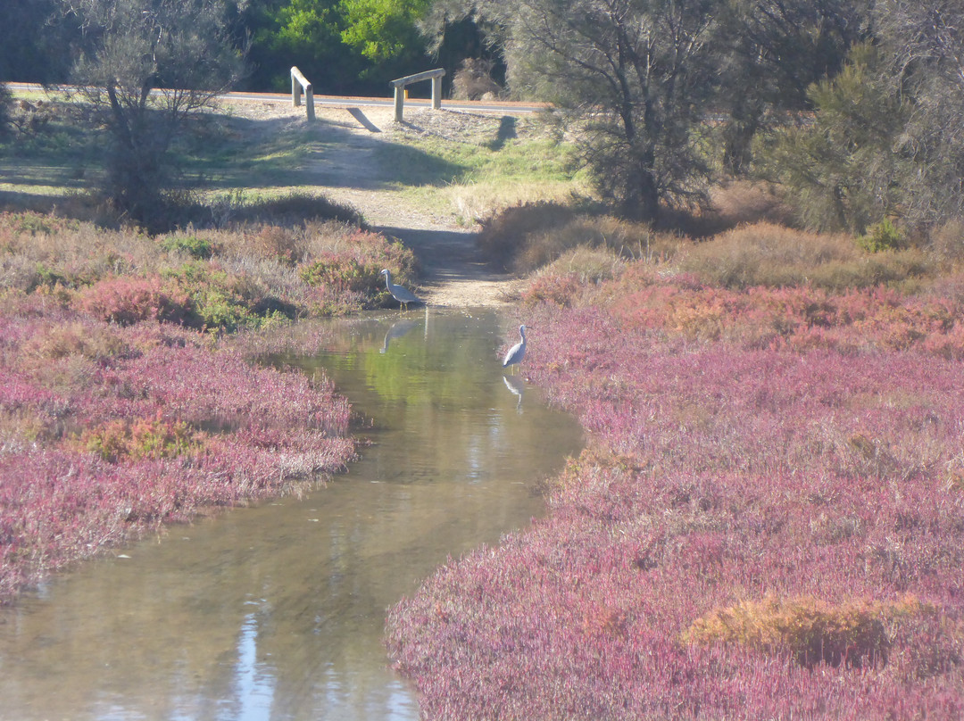 Leschenault Waterways Discovery Centre & Jetty Walk景点图片